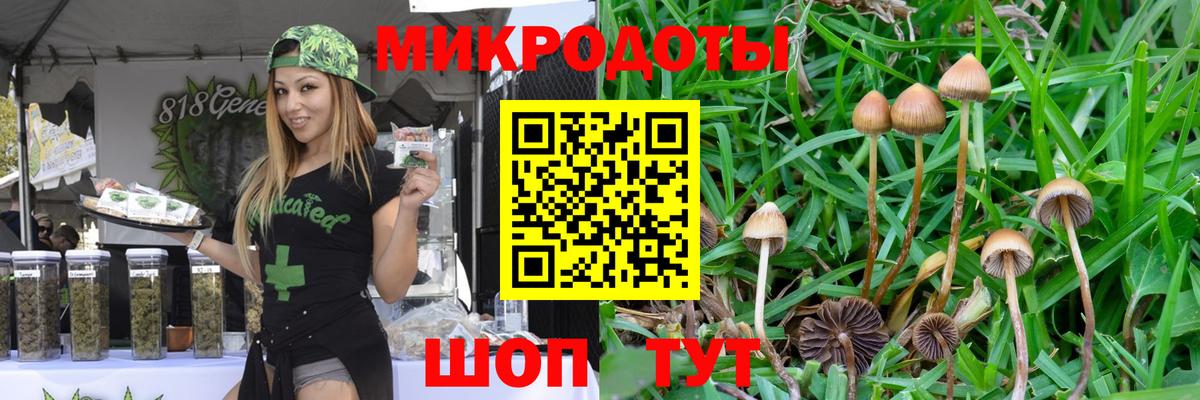 Ликино-Дулёво  Галлюциногенные грибы Cubensis  Вход с VPN 