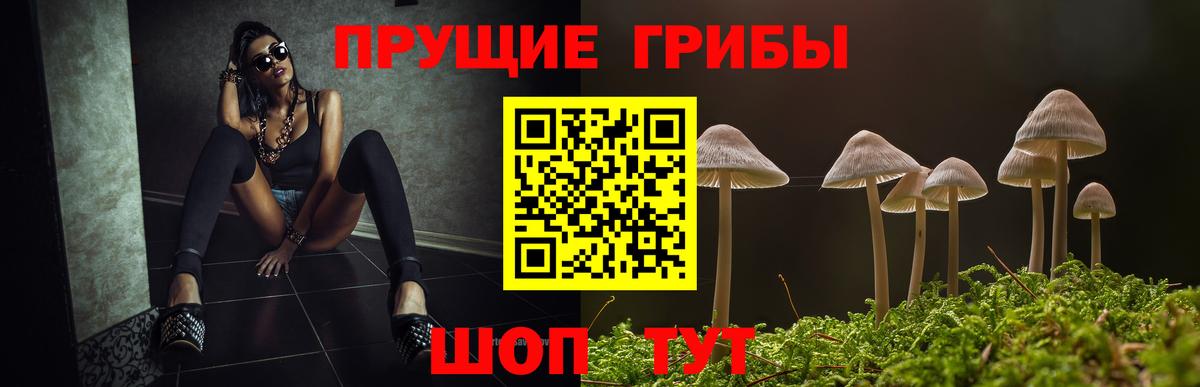 Псилоцибиновые грибы мицелий Ликино-Дулёво